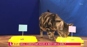 Christine Lampard's baby shower on Lorraine