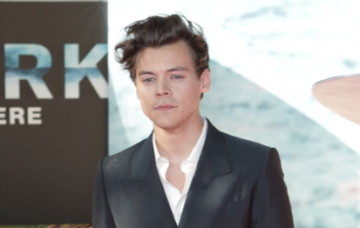 harry styles (Credit: Fameflynet)