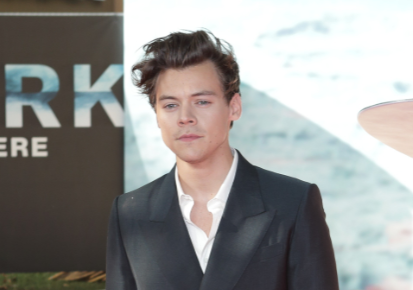harry styles (Credit: Fameflynet)