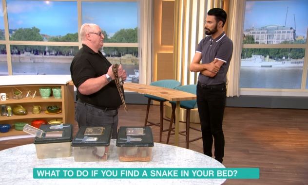 Trevor Smith, snake expert on This Morning talking to Rylan