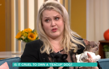 This Morning guest Elena Katerova, who breeds teacup dogs
