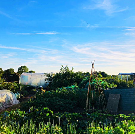Zoe Henry Jeff Hordley allotment