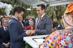 David and Aaron get married 