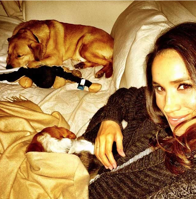 Meghan and dogs