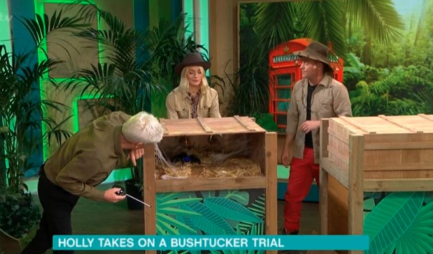 Holly Willoughby, This Morning