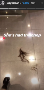 Jesy Nelson (Credit: Instagram @jesynelson)
