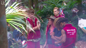 i'm a celeb
