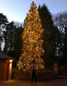 Paddy McGuinness with xmas tree