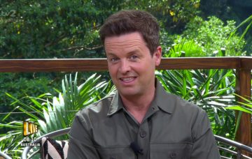 Dec Donnelly on I'm A Celebrity Extra Camp
