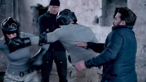 sas who dares wins