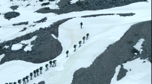 sas who dares wins