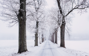 A yellow weather warning for snow and ice is in pace across the UK (Credit: Pexels)