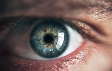 Eye