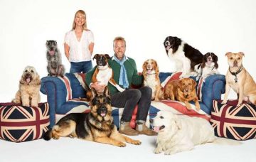 top 100 dogs live 2019