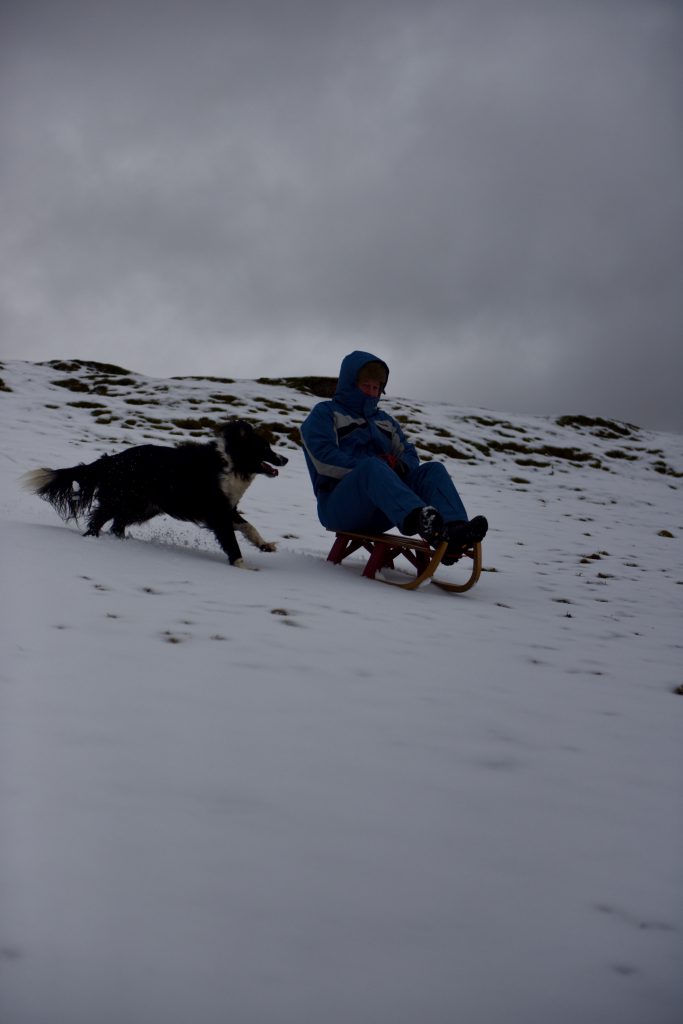 The Snow has started to fall heavily in Devon ahead of the predicted chaos accross the rest of the UK. Pictured, 60 year old Marty and his dog Sam Sledgeing, Dartmoor Prison, And visitors from Plymouth in Princetown enjoying a bit of tobogganing Pictured: GV,General View Ref: SPL5059756 310119 NON-EXCLUSIVE Picture by: @CameraFirm / SplashNews.com Splash News and Pictures Los Angeles: 310-821-2666 New York: 212-619-2666 London: 0207 644 7656 Milan: 02 4399 8577 photodesk@splashnews.com World Rights