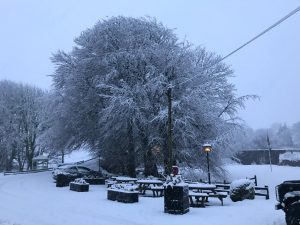 Snow in Devon