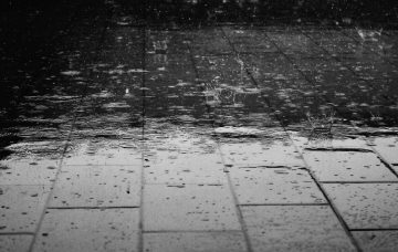 Rain - www.pexels.com