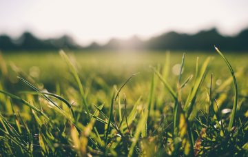 Sunshine (Credit: www.pexels.com)