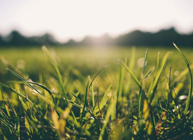Sunshine (Credit: www.pexels.com)