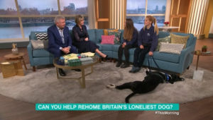 Eamonn Holmes and Ruth Langsford on This Morning