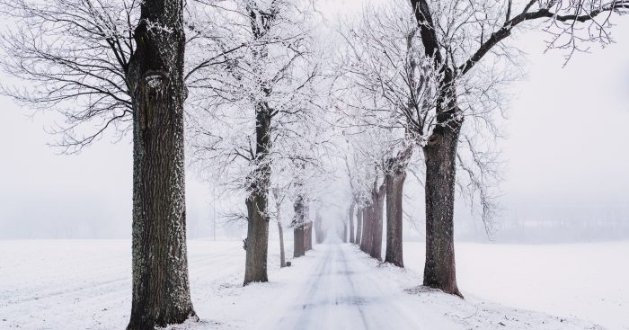 (Credit: pexels.com)