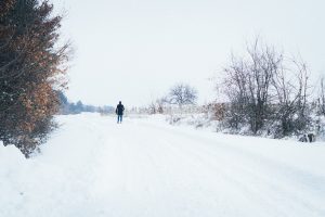Snow snow SNOW