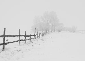 Snow weather
