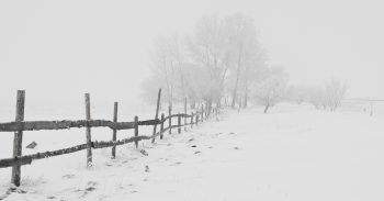 Snow weather
