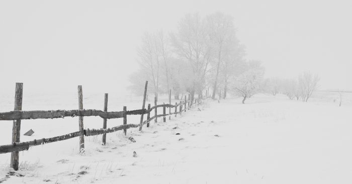 Snow weather