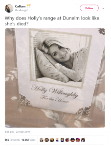 Holly Wills Dunelm pic