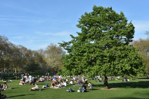 Park in London