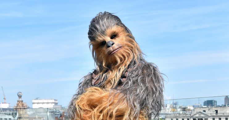 Peter Mayhew