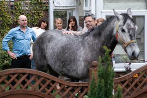 Sally horse Corrie