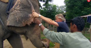 Martin Clunes elephant