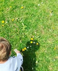 Pete's Instagram video of Theo