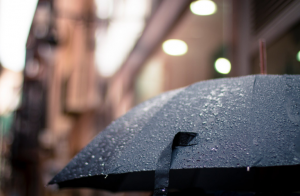 Umbrella