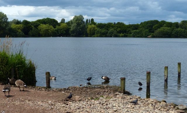 Westport Lake, Stoke