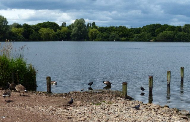 Westport Lake, Stoke
