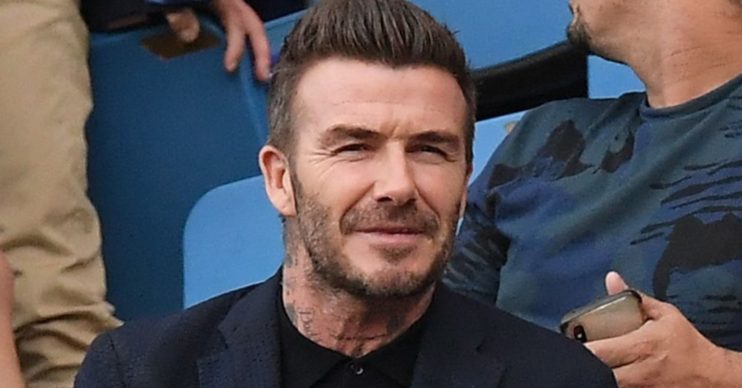 David Beckham and Harper Beckham