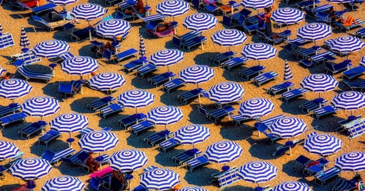 Sunbathers