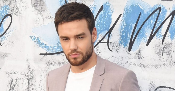 Serpentine Gallery Summer Party Pictured: Liam Payne Ref: SPL5100595 260619 NON-EXCLUSIVE Picture by: Alucard / SplashNews.com Splash News and Pictures Los Angeles: 310-821-2666 New York: 212-619-2666 London: 0207 644 7656 Milan: +39 02 56567623 photodesk@splashnews.com World Rights