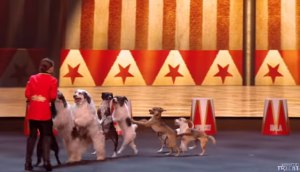 Britain's Got Talent (Credit: ITV)