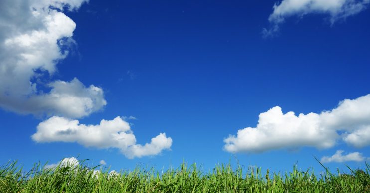 Weather