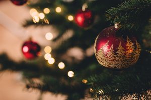 Plastic or real? Christmas tree