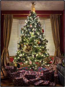 Christmas tree Pexels