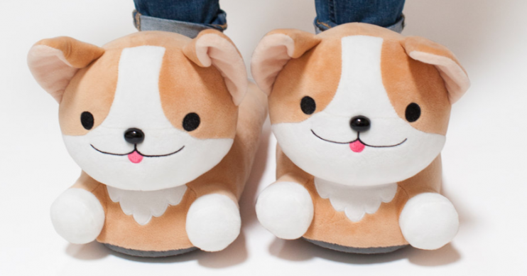 Corgi slippers