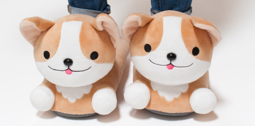 Corgi slippers