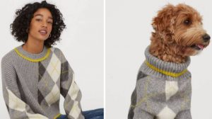 H&M dog outfit