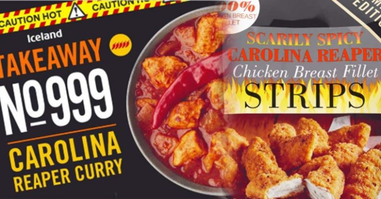 Iceland hot food range