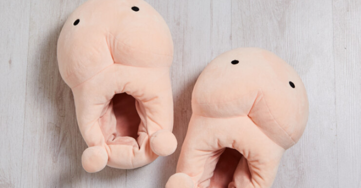 Penis slippers - Credit: Firebox